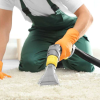 Find Carpet Cleaning Services