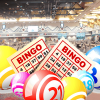 5 Bingo Games You Can Play at an Online Live Casino