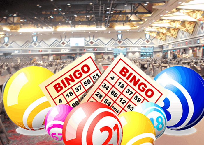 5 Bingo Games You Can Play at an Online Live Casino