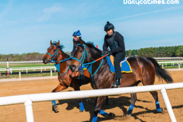résultat pmu d'aujourd'hui
