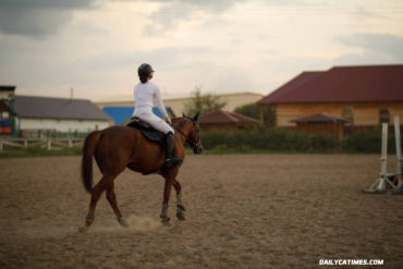 Meilleur Cheval Blogspot