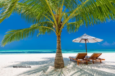 46.948.861 Jose Luis Rodrigues Palmas