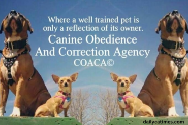 Canine Obedience and Correction Agency, Coaca© LLC Denbigh Area Newport News, Virginia 23608