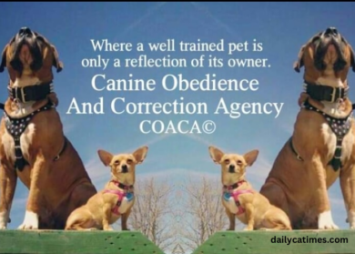 Canine Obedience and Correction Agency, Coaca© LLC Denbigh Area Newport News, Virginia 23608