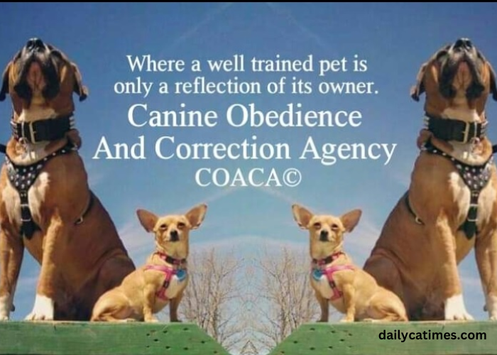 Canine Obedience and Correction Agency, Coaca© LLC Denbigh Area Newport News, Virginia 23608