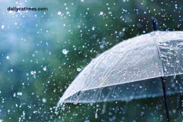 Hoa ROI CUA Phat Nguyen Si Kha • Rainy Day Memories • 2023