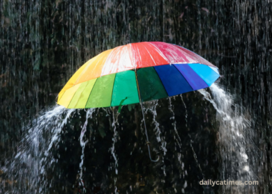 Loi Hua Gio Bay Nguyen Si Kha • Rainy Day Memories • 2023