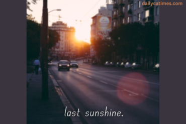 No Feelings Nguyen Duy Tri • the Last Sunshine • 2022