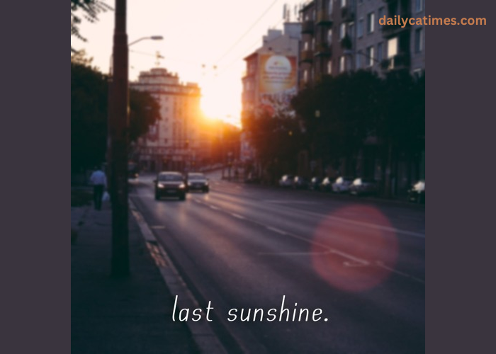 No Feelings Nguyen Duy Tri • the Last Sunshine • 2022