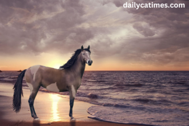 Majestic