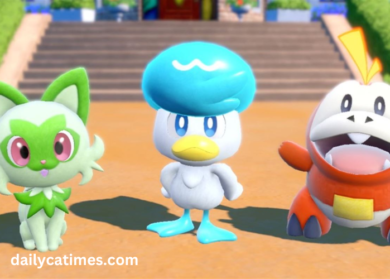 Pokémon